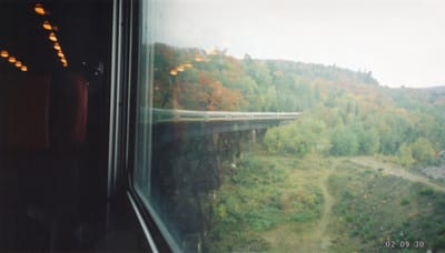 img227.jpg