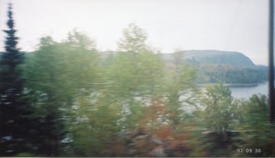 img232.jpg
