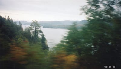 img233.jpg