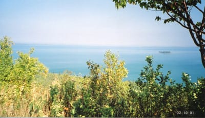 img241.jpg