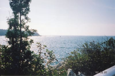 img245.jpg