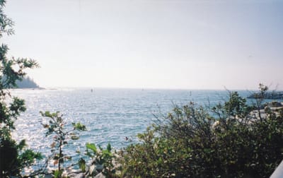 img246.jpg