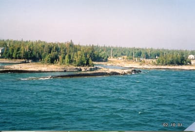 img261.jpg