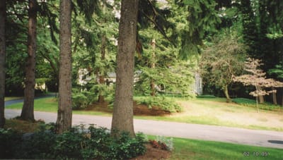 img007.jpg