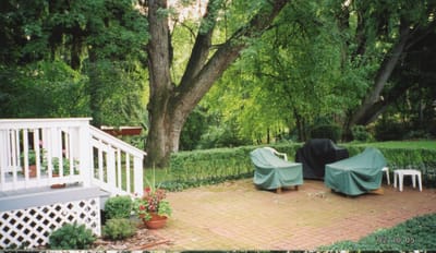 img011.jpg