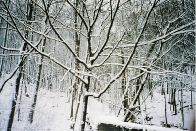 img089.jpg