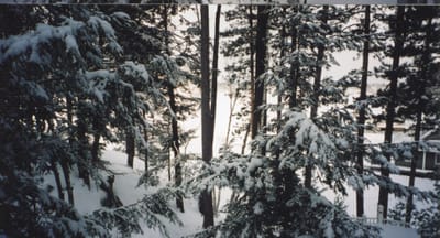 img013.jpg