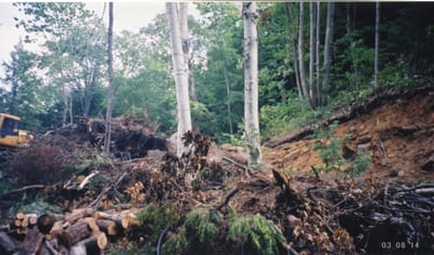 img114.jpg
