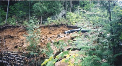 img115.jpg