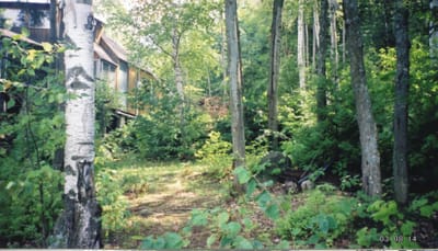 img116.jpg