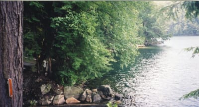 img118.jpg