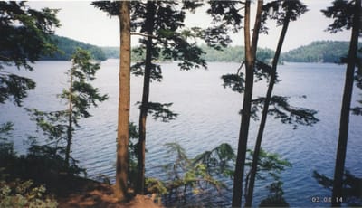img123.jpg