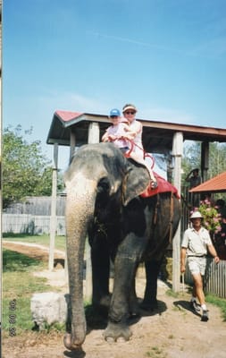img132.jpg