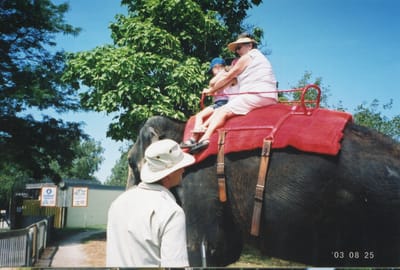 img134.jpg