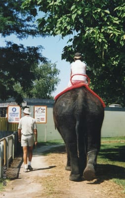 img135.jpg