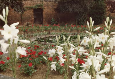 img108.jpg