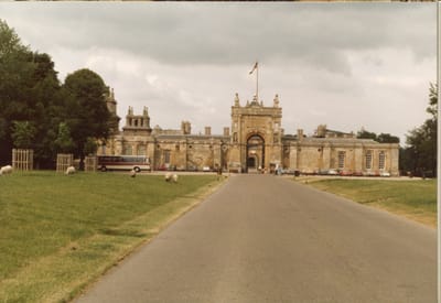 img129.jpg