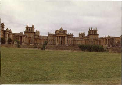 img131.jpg