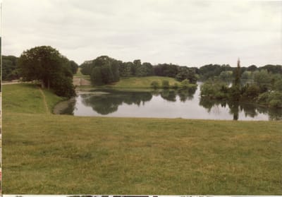 img135.jpg