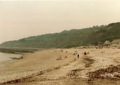 img154.jpg