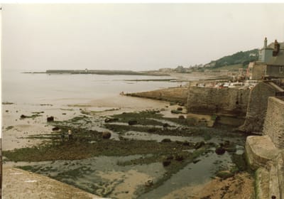 img163.jpg