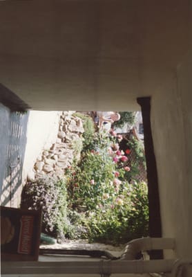 img171.jpg