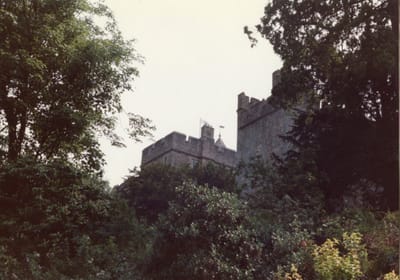 img174.jpg