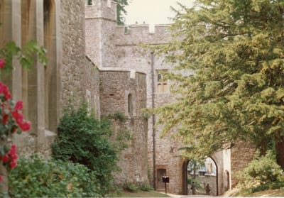 img175.jpg