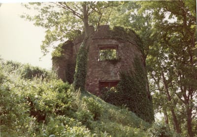 img180.jpg
