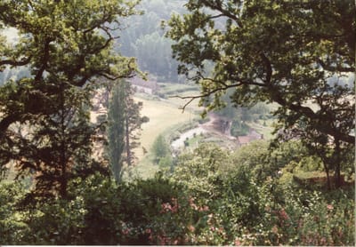 img183.jpg