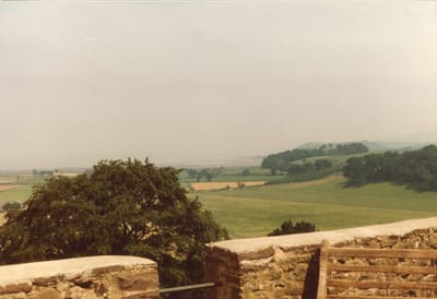 img186.jpg