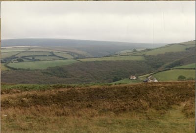 img193.jpg