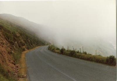 img195.jpg