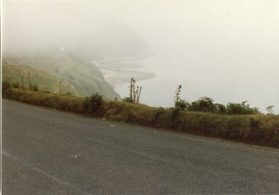 img196.jpg