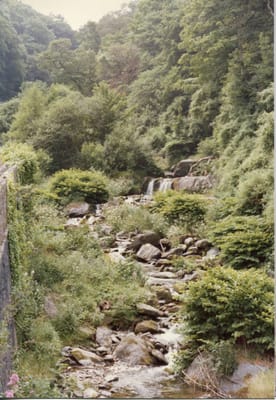 img201.jpg