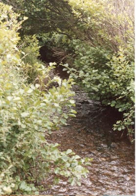 img211.jpg