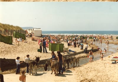 img213.jpg
