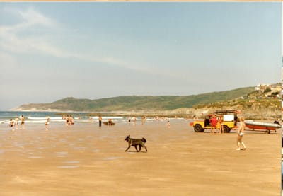 img214.jpg