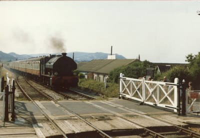 img221 Blue Anchor.jpg