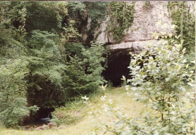 img230.jpg