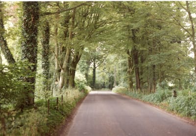 img231.jpg