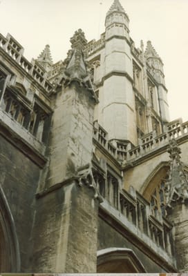img235.jpg