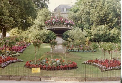 img245.jpg
