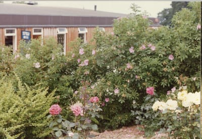 img254.jpg