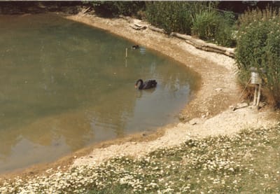 img258.jpg