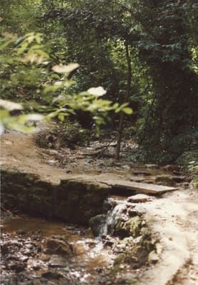 img259.jpg