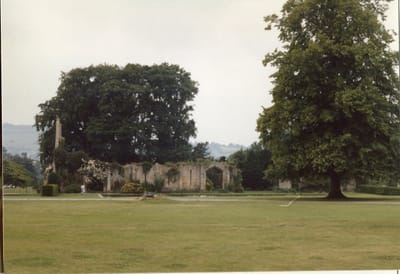 img265.jpg