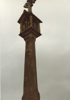 img291.jpg