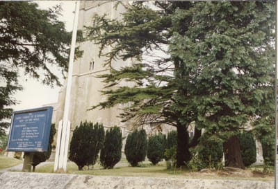 img294.jpg