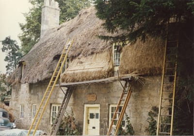 img295.jpg